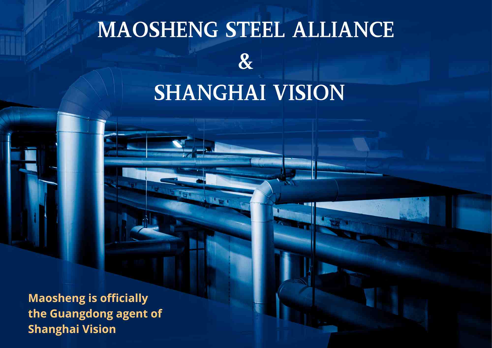 [Maosheng Steel Alliance & Shanghai Vision] Working Together to Build Dreams and Win the Future